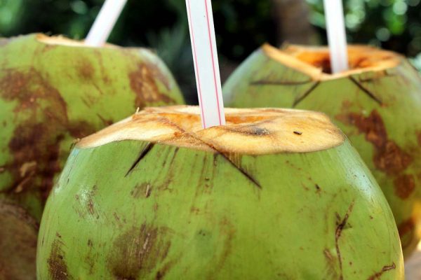 coco estilo tropical